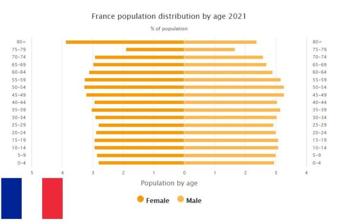 France Population Distribution by Age