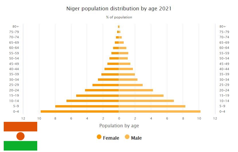 Niger Population Distribution by Age