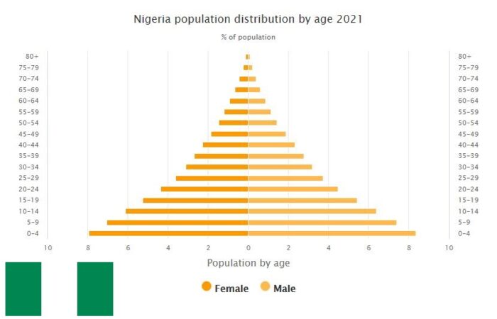 Nigeria Population Distribution by Age