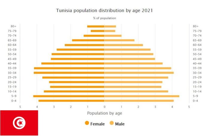 Tunisia Population Distribution by Age