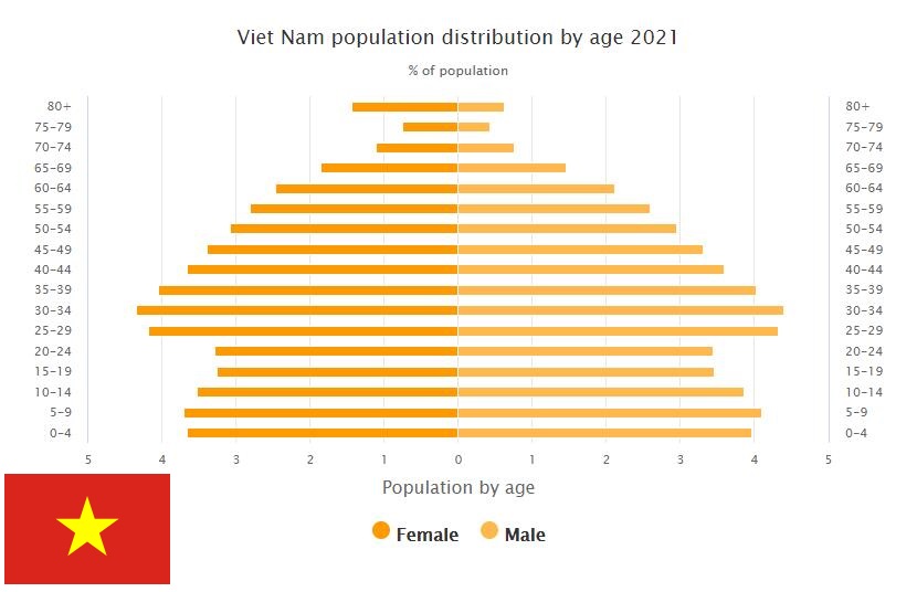 Vietnam Population Distribution by Age