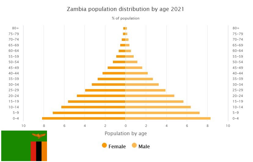 Zambia Population Distribution by Age